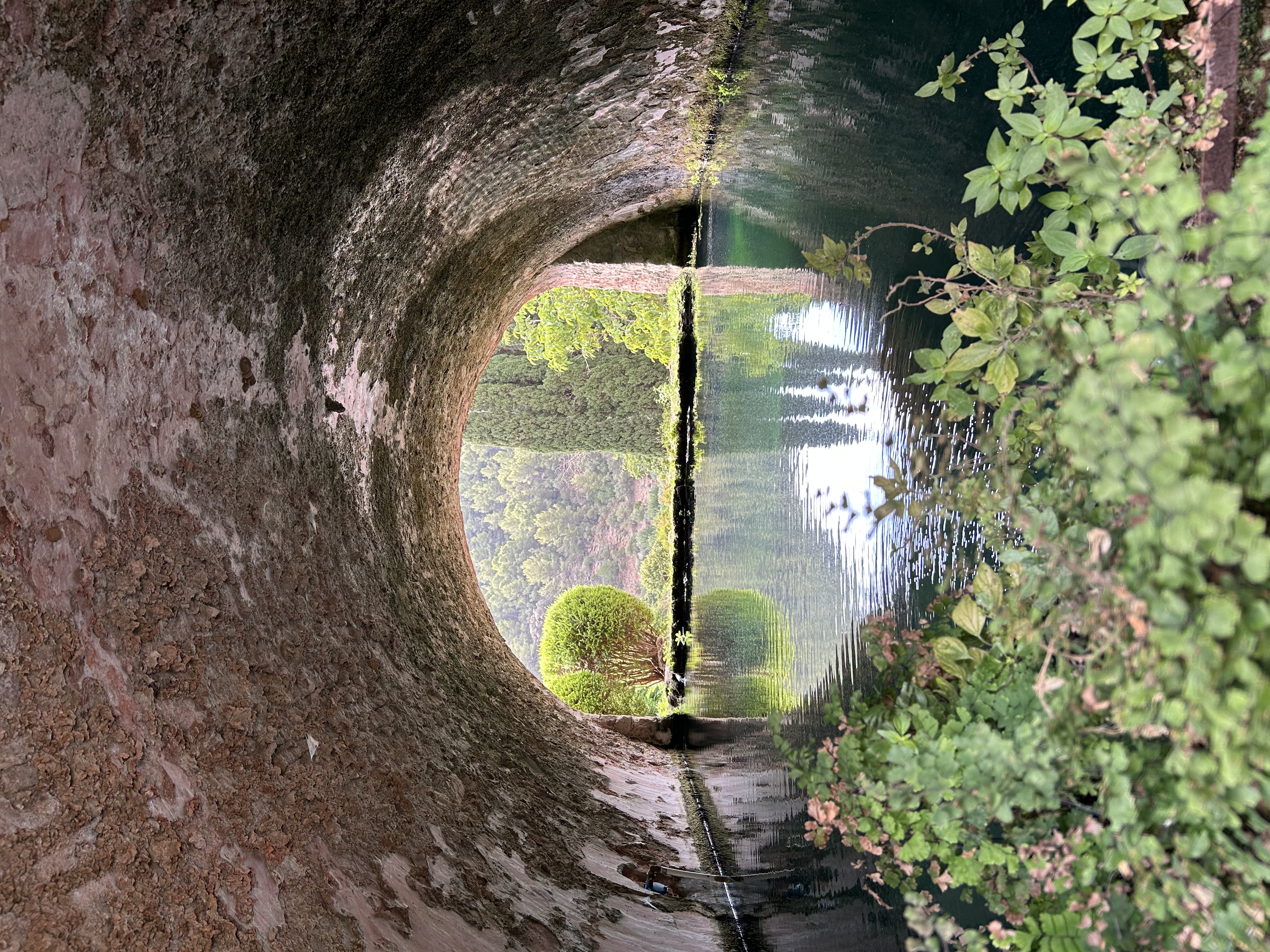 Fredlig naturmiljö med vacker belysning - reflekterar livets viktiga ögonblick
